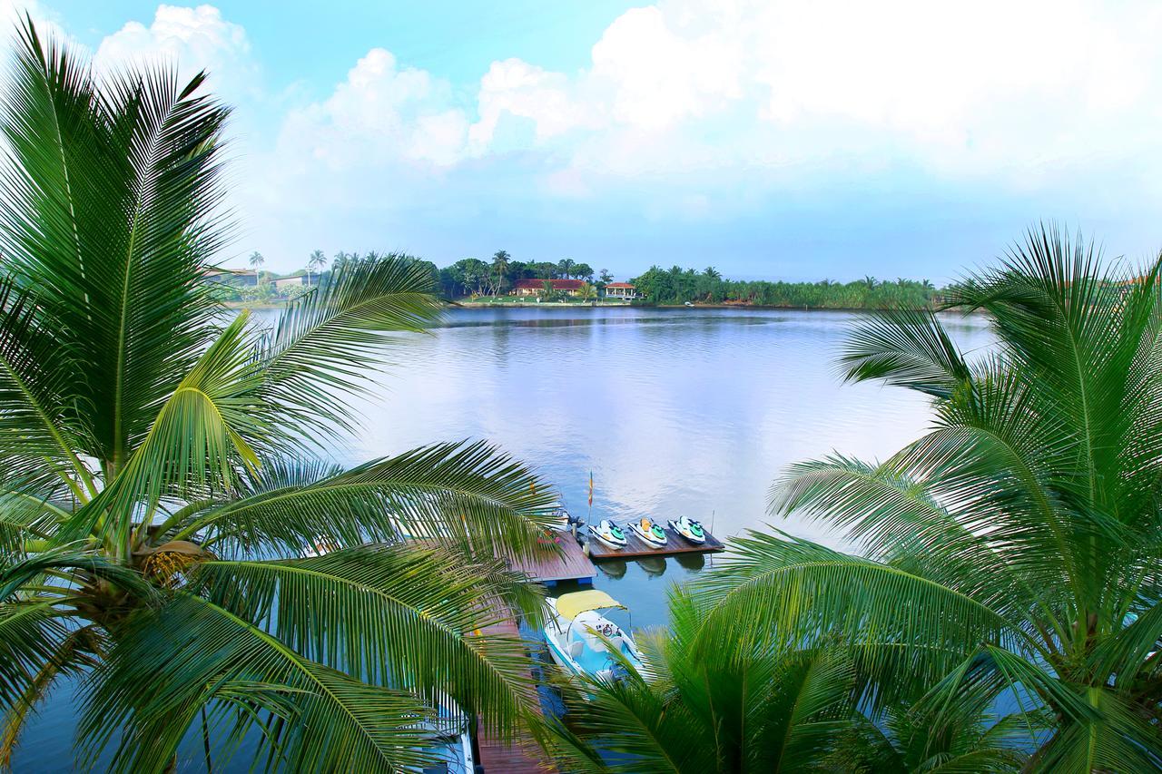 Hotel Malu Banna à Aluthgama Extérieur photo